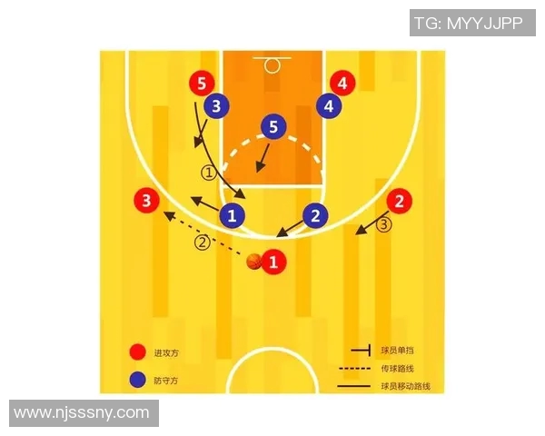 深入分析杭州排球队的进攻策略与战术特点